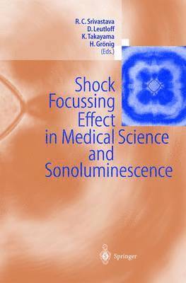 Shock Focussing Effect in Medical Science and Sonoluminescence 1