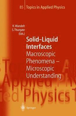 bokomslag Solid-Liquid Interfaces