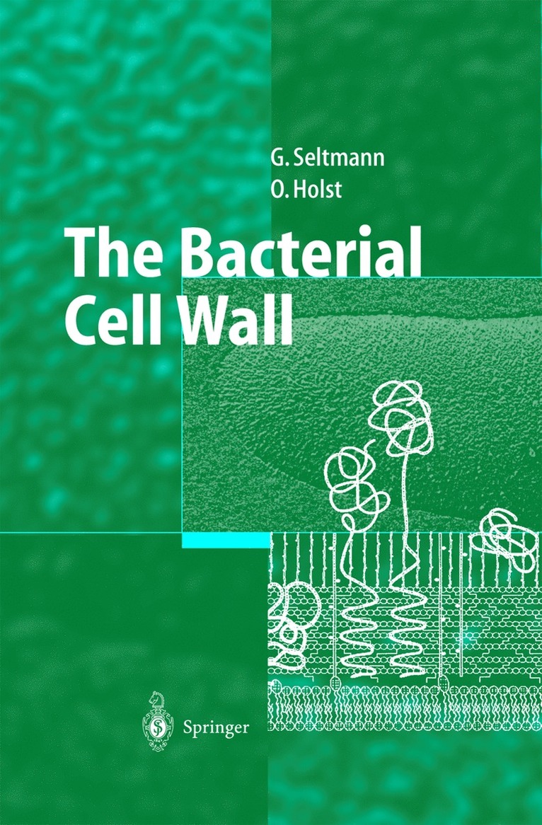 Guntram Seltmann, Otto Holst - Bacterial Cell Wall, Inbunden