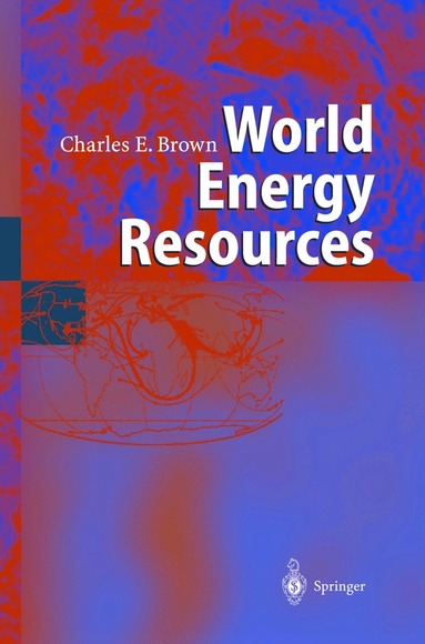 bokomslag World Energy Resources