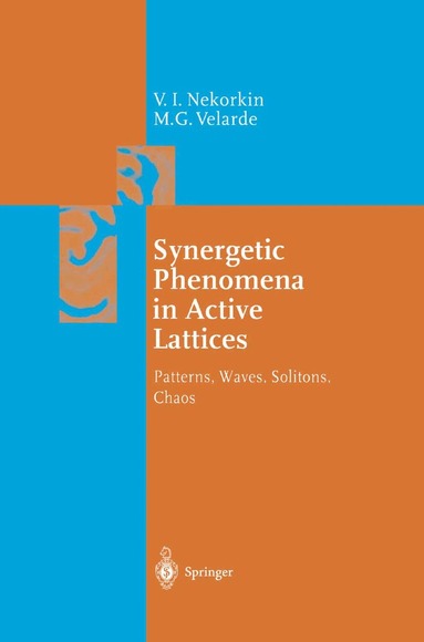 Vladimir I. Nekorkin, M. G. Velarde - Synergetic Phenomena in Active Lattices, Inbunden