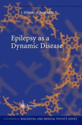 bokomslag Epilepsy as a Dynamic Disease