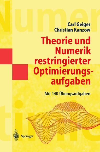 Carl Geiger, Christian Kanzow - Theorie und Numerik restringierter Optimierungsaufgaben, Häftad