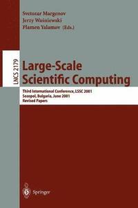 bokomslag Large-Scale Scientific Computing