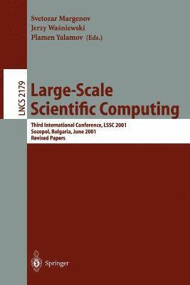 Large-Scale Scientific Computing 1