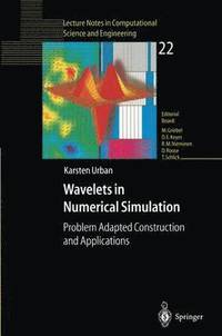 bokomslag Wavelets in Numerical Simulation