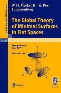 bokomslag The Global Theory of Minimal Surfaces in Flat Spaces
