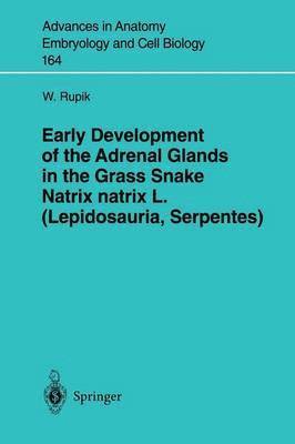 W. Rupik, Weronika Rupik - Early Development of the Adrenal Glands in the Grass Snake Natrix natrix L. (Lepidosauria, Serpentes), Häftad