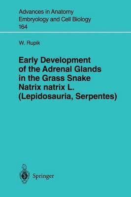 Early Development of the Adrenal Glands in the Grass Snake Natrix natrix L. (Lepidosauria, Serpentes) 1