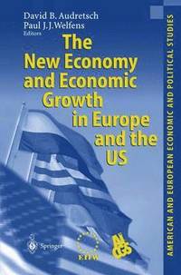 bokomslag The New Economy and Economic Growth in Europe and the US