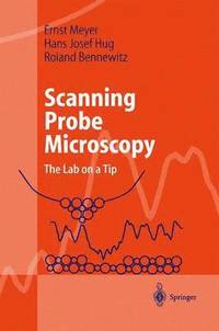 bokomslag Scanning Probe Microscopy