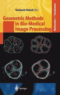 bokomslag Geometric Methods in Bio-Medical Image Processing