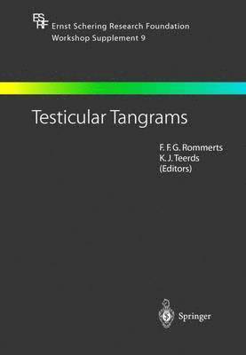 bokomslag Testicular Tangrams