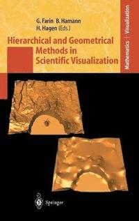 bokomslag Hierarchical and Geometrical Methods in Scientific Visualization