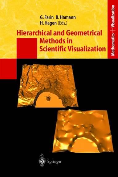 G. Farin, B. Hamann, Gerald Farin, Bernd Hamann, Hans Hagen - Hierarchical and Geometrical Methods in Scientific Visualization, Inbunden