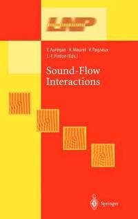 bokomslag Sound-Flow Interactions