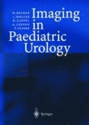 bokomslag Imaging in Paediatric Urology