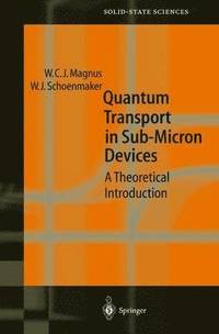 bokomslag Quantum Transport in Submicron Devices