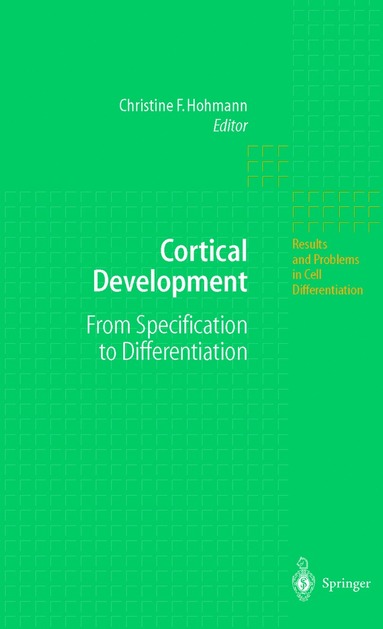 bokomslag Cortical Development