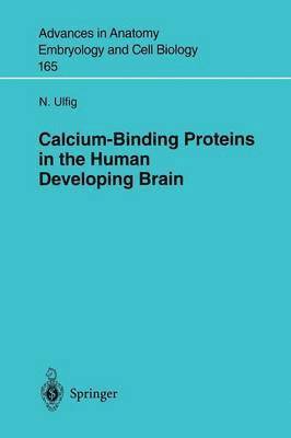 Calcium-Binding Proteins in the Human Developing Brain 1