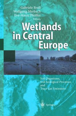 bokomslag Wetlands in Central Europe