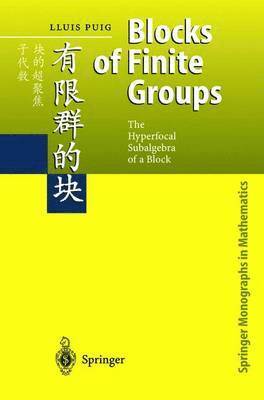 bokomslag Blocks of Finite Groups