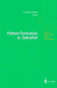 bokomslag Pattern Formation in Zebrafish