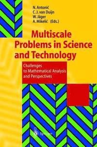 bokomslag Multiscale Problems in Science and Technology