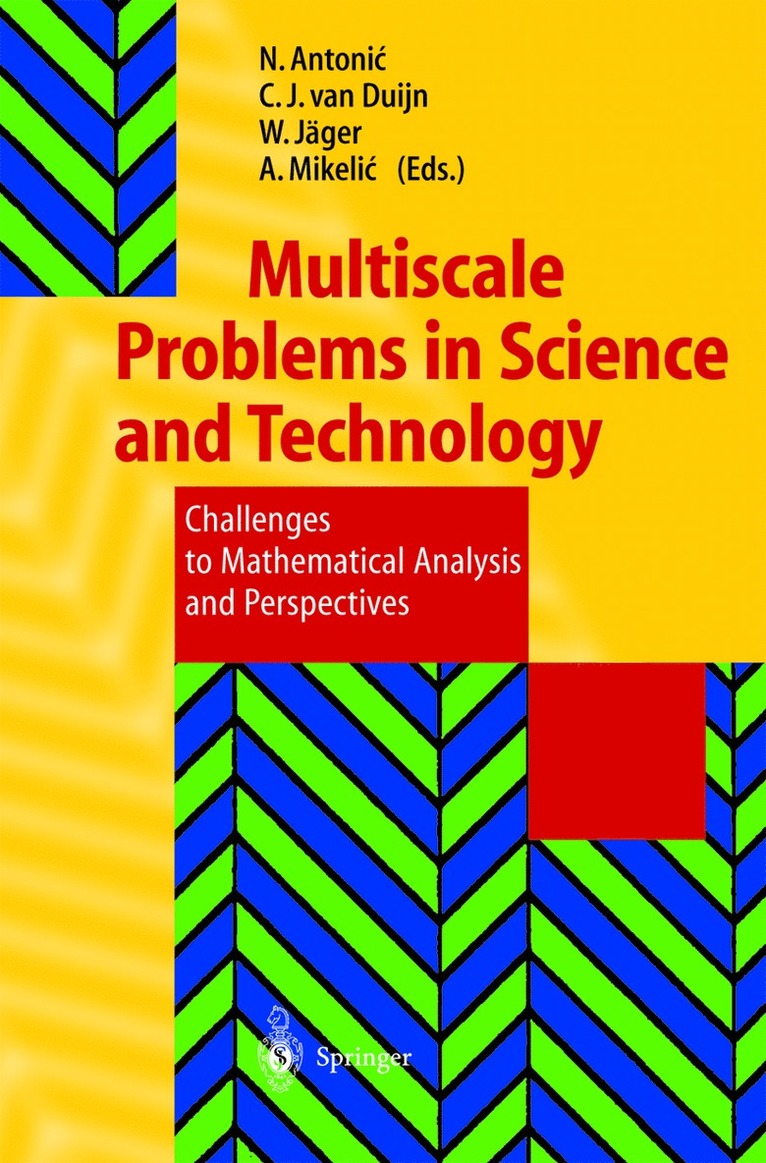 Nenad Antonic, C.J. van Duijn, Willi Jäger, Andro Mikelic, C. J. Van Duijn - Multiscale Problems in Science and Technology, Häftad
