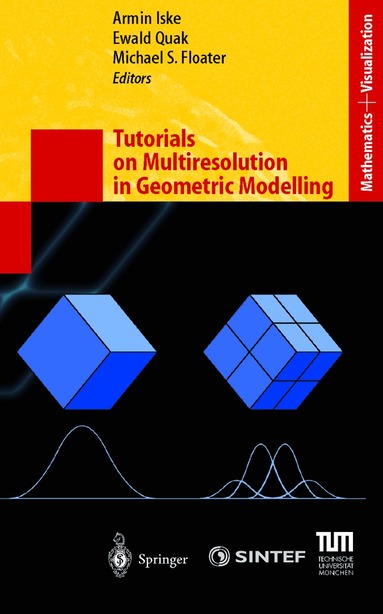 Armin Iske, Ewald Quak, Michael S. Floater - Tutorials on Multiresolution in Geometric Modelling, Inbunden