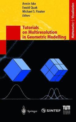 bokomslag Tutorials on Multiresolution in Geometric Modelling