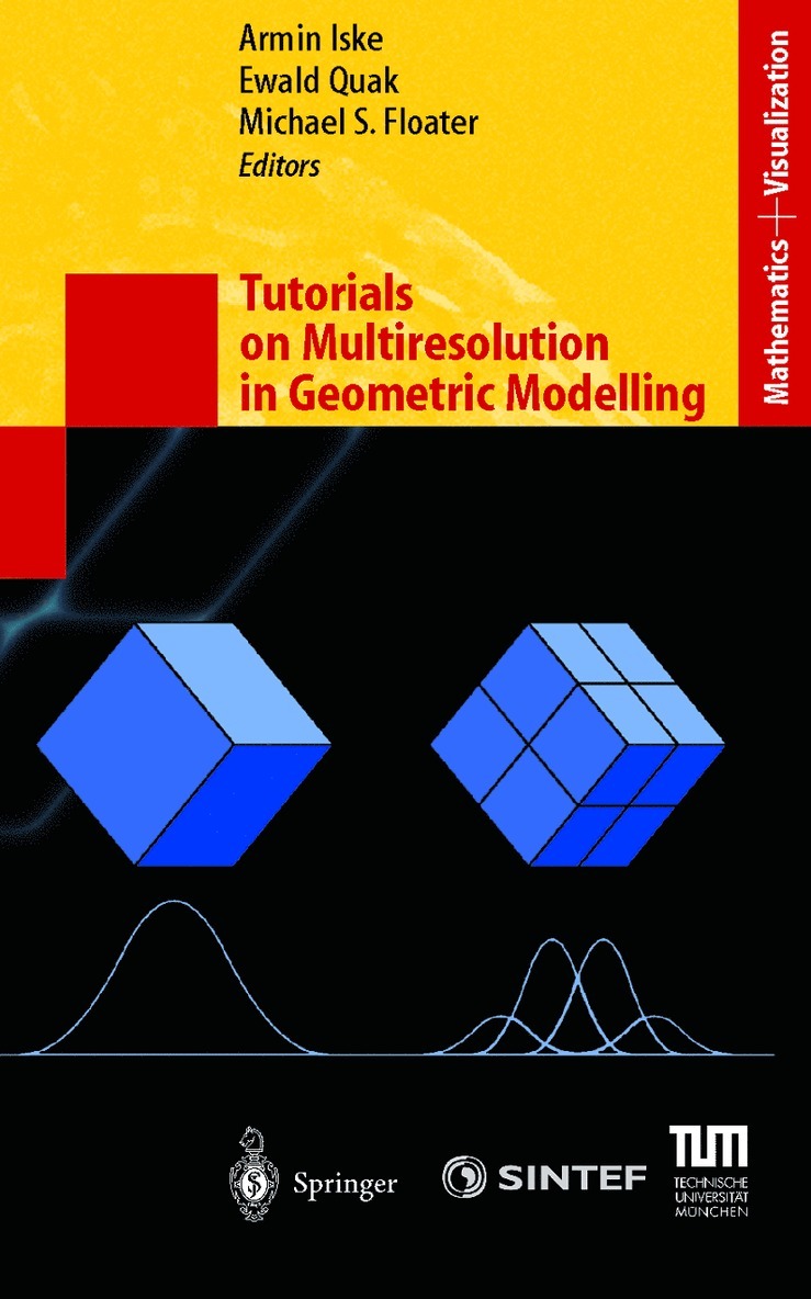 Armin Iske, Ewald Quak, Michael S. Floater - Tutorials on Multiresolution in Geometric Modelling, Inbunden