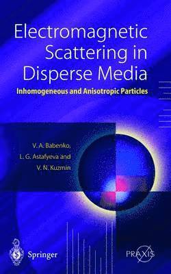 Victor A. Babenko, Ludmila G. Astafyeva, Vladimir N. Kuzmin - Electromagnetic Scattering in Disperse Media, Inbunden