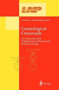bokomslag Cosmological Crossroads