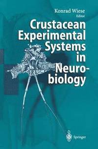 bokomslag Crustacean Experimental Systems in Neurobiology