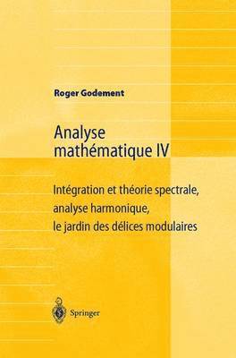 bokomslag Analyse mathmatique IV