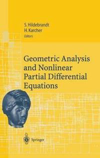 bokomslag Geometric Analysis and Nonlinear Partial Differential Equations