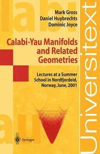 bokomslag Calabi-Yau Manifolds and Related Geometries