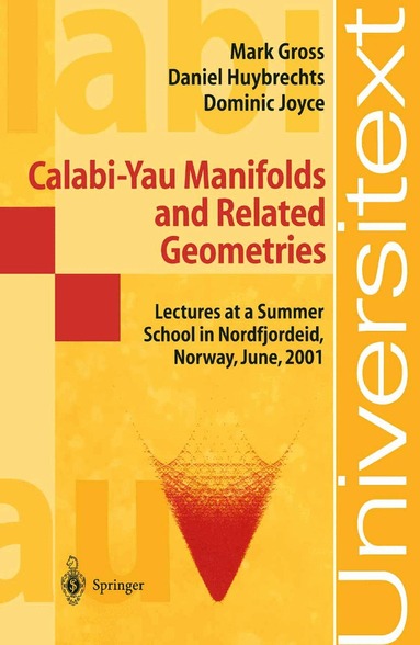 Mark Gross, Daniel Huybrechts, Dominic Joyce, Geir Ellingsrud, Loren Olson, Kristian Ranestad, Stein A. Stromme - Calabi-Yau Manifolds and Related Geometries, Häftad