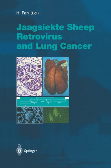 H. y. Fan, Hung Fan, Hung Y. Fan - Jaagsiekte Sheep Retrovirus and Lung Cancer, Inbunden