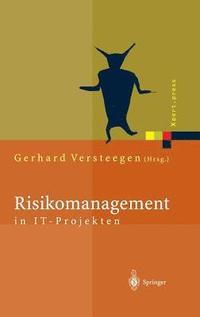 bokomslag Risikomanagement in IT-Projekten