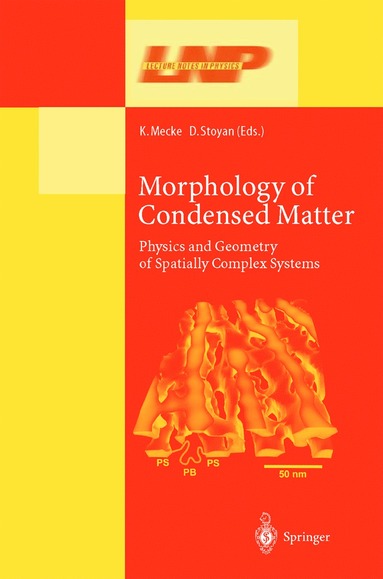 bokomslag Morphology of Condensed Matter