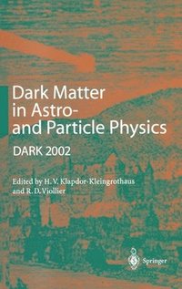 bokomslag Dark Matter in Astro- and Particle Physics