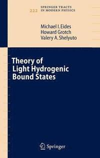 bokomslag Theory of Light Hydrogenic Bound States