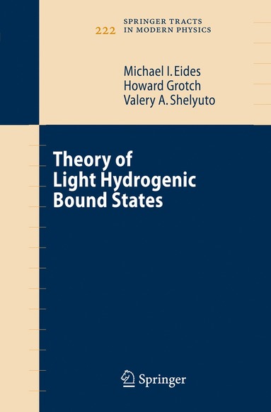 bokomslag Theory of Light Hydrogenic Bound States