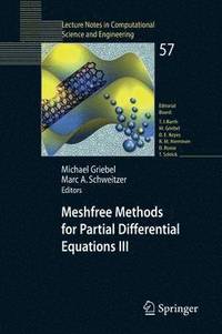 bokomslag Meshfree Methods for Partial Differential Equations III