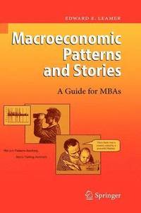 bokomslag Macroeconomic Patterns and Stories