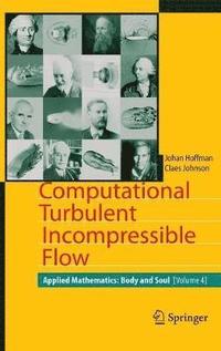 bokomslag Computational Turbulent Incompressible Flow