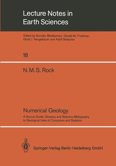 bokomslag Numerical Geology