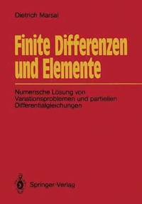 bokomslag Finite Differenzen und Elemente